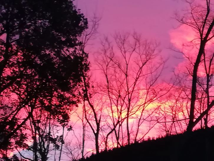 Irun, mendiola kaskotik