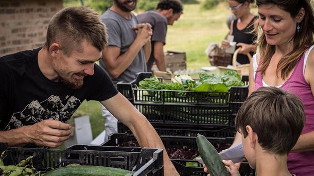 Educar sobre los productos de la alimentación de nuestros hogares