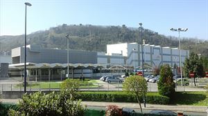 Dirección y sindicatos de Arcelor Mittal acuerdan un nuevo ERTE para 2025 