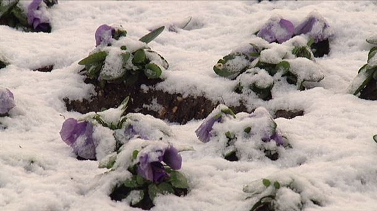 Nieve en los parques de la capital alavesa