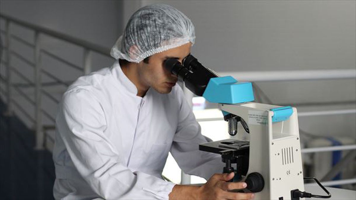 Un investigador trabaja con el microscopio en el laboratorio