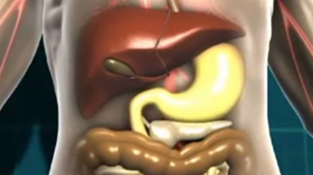 Pankreasa, akainak, begi poltsak, ureteroskopia