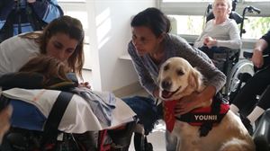 LA TERAPIA CANINA DE YOUNI EN EL HOSPITAL DONIBANE LOHIZUNE              