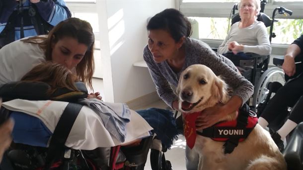 LA TERAPIA CANINA DE YOUNI EN EL HOSPITAL DONIBANE LOHIZUNE              