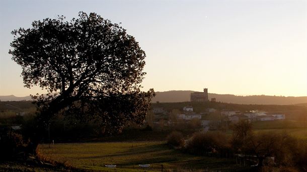 AUDIKANA. BARRUNDIA. LLANADA ALAVESA