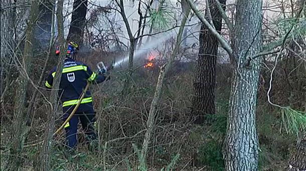 Suhiltzaile bat lanean, Jaizkibelgo baso-sutean. EiTBko bideo batetik ateratako irudia.