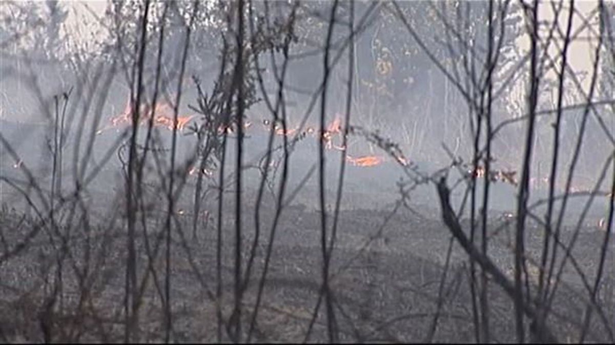 Imagen de uno de los incendios de esta semana en Iparralde