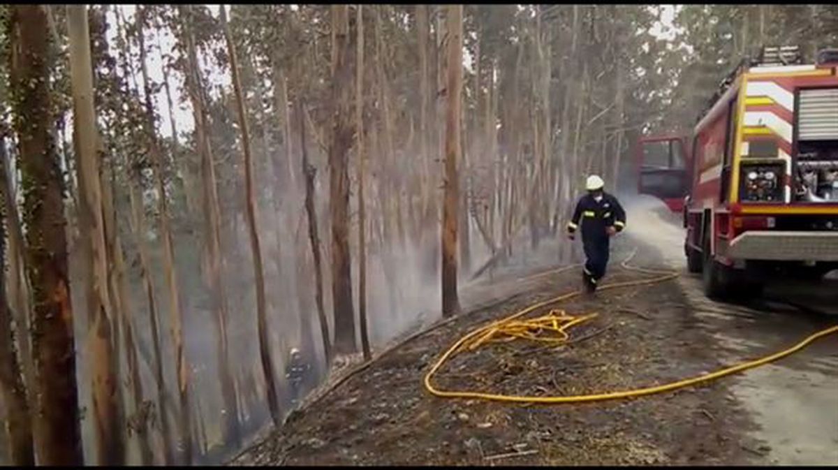 Un bombero junto a una zona quemada por el incendio en Amoroto