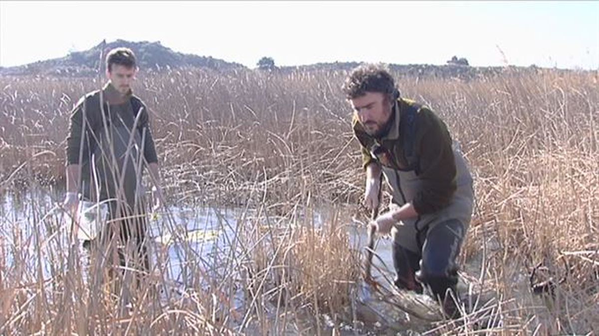 Investigadores de Aranzadi en Navaridas. 