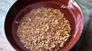 Remojar cereales y legumbres como primer fermento para una mejor digestión