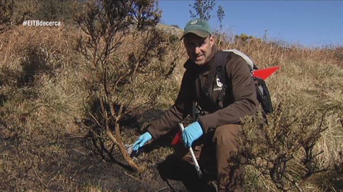 Imagen de uno de los investigadores de fuegos forestales