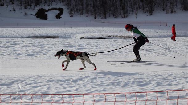 Larraitz Sorron en plena carrera de skyjoring