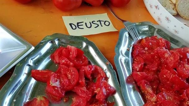 Auténticos tomates de Deusto