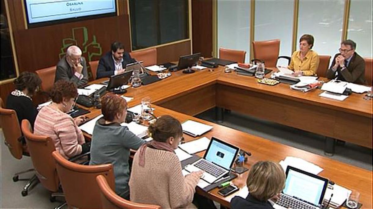 Comisión de Salud del Parlamento Vasco. Imagen obtenida de un vídeo de EiTB.