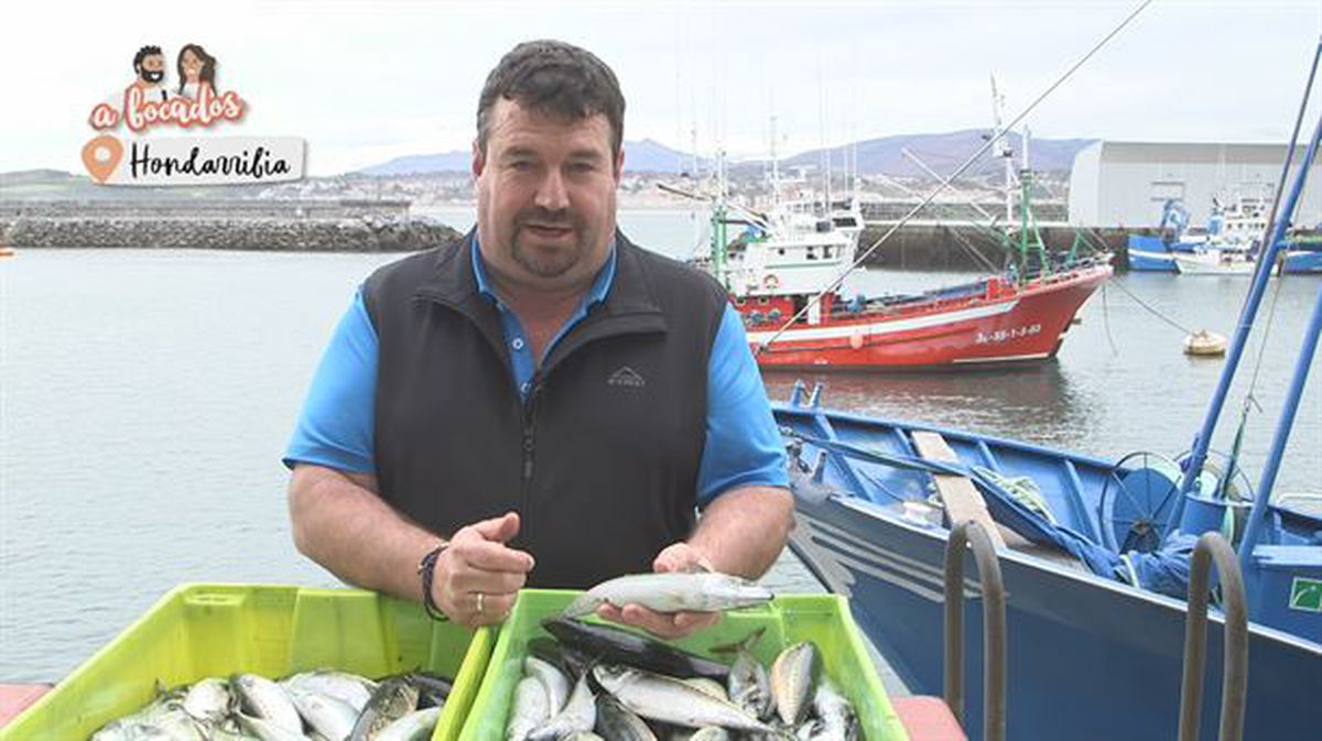 Norberto Emazabel, presidente de la Cofradía de Pescadores de Hondarribia