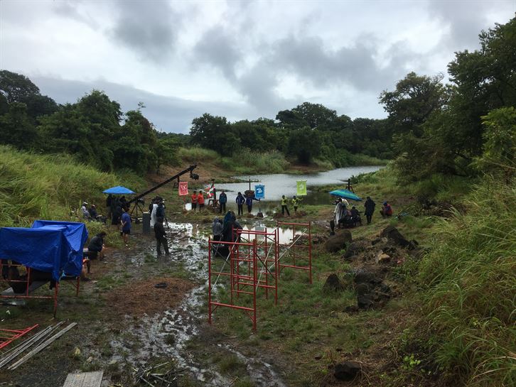 Escenario del Juego del Tronkoala