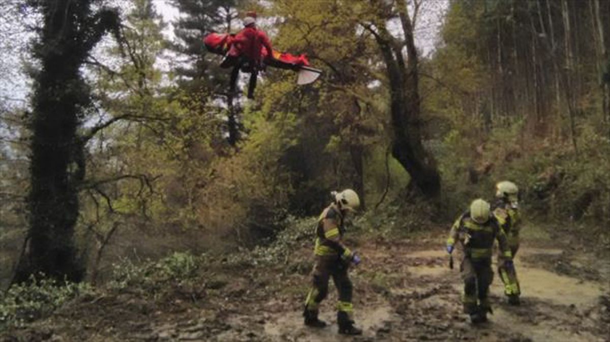 Herido un trabajador forestal