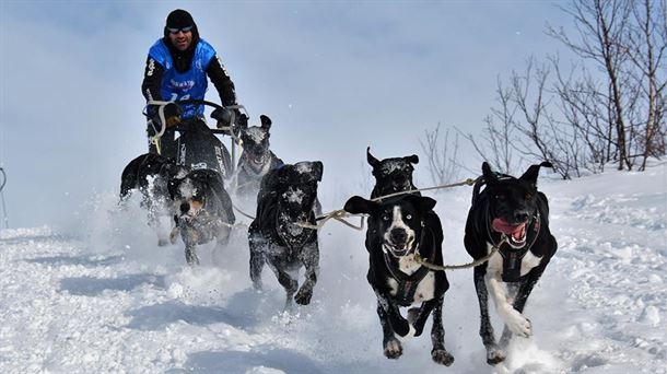 Iker Ozkoidi y sus perros en plena carrera mushing