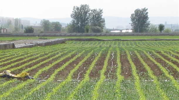 Aprendamos a conocer el estado de nuestra tierra para mejores resultados