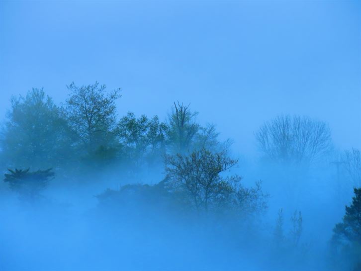 Leaburu (Eduardo Recalde)