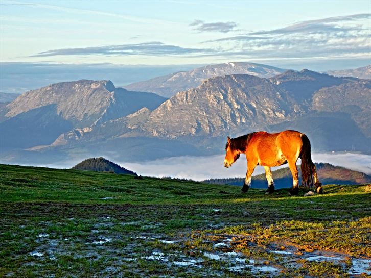 Gorbea Oiztik (Rikardo Agirregomezkorta)