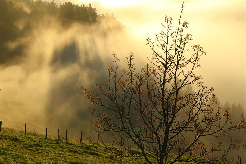 Iurreta (Txaro Ortiz de Zarate)