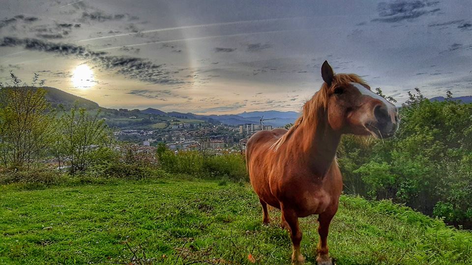 Parhelioa Zumarragan (Aitor Agirrezabal)