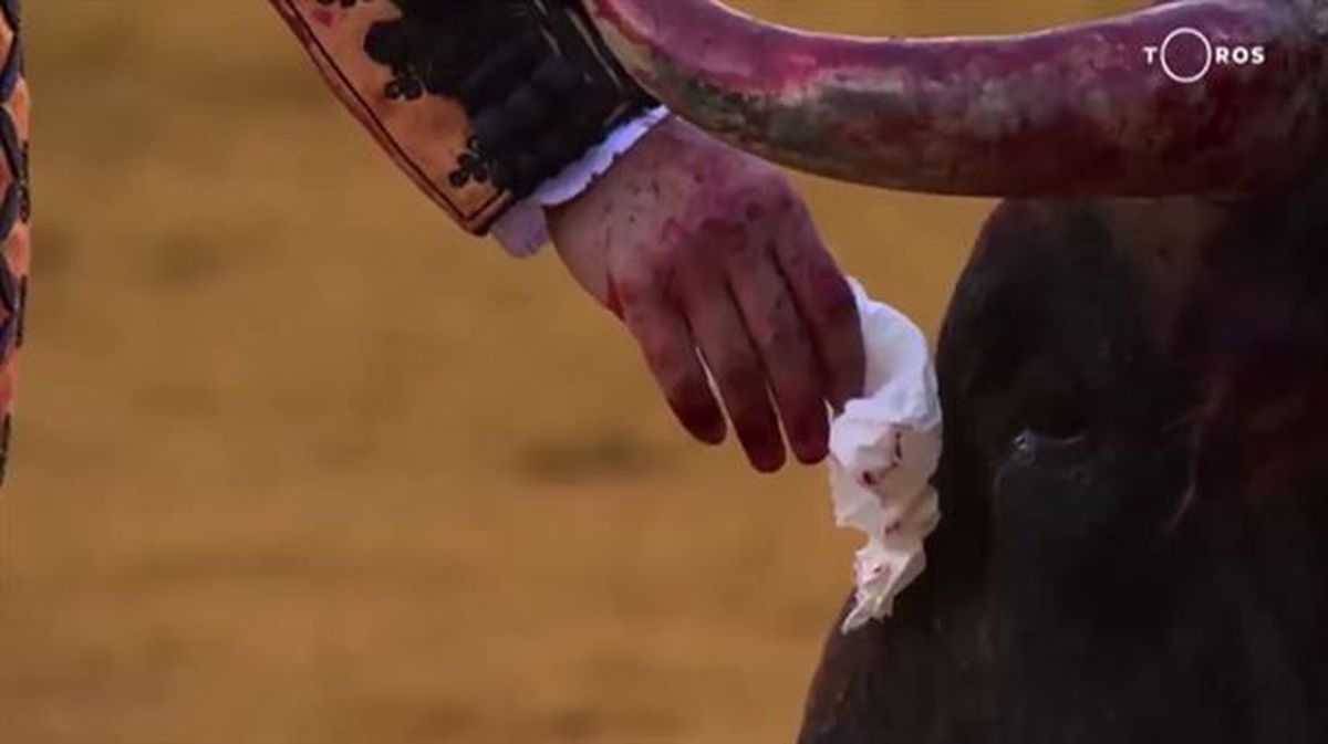 El torero Morante de la Puebla limpiando las lagrimas a un toro