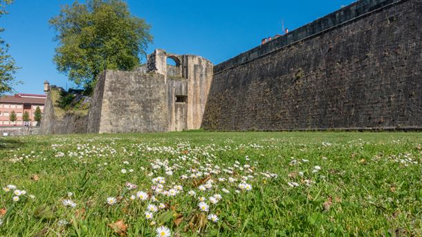 Restauración, rehabilitación y reformas