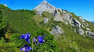 Hasi da ilargi-eklipse bat eta meteoroen bi eurite utziko dituen udaberria 