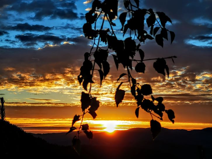 Aramaio (Luis Madina)