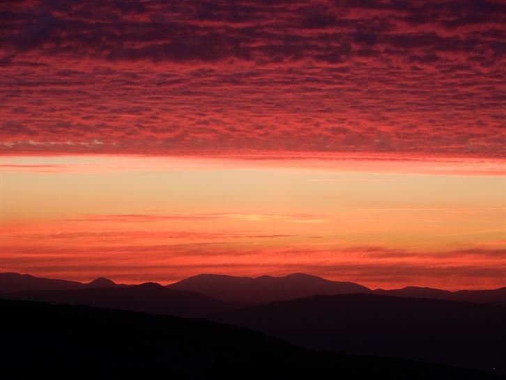 Iruñerria (Luis Azpiroz)