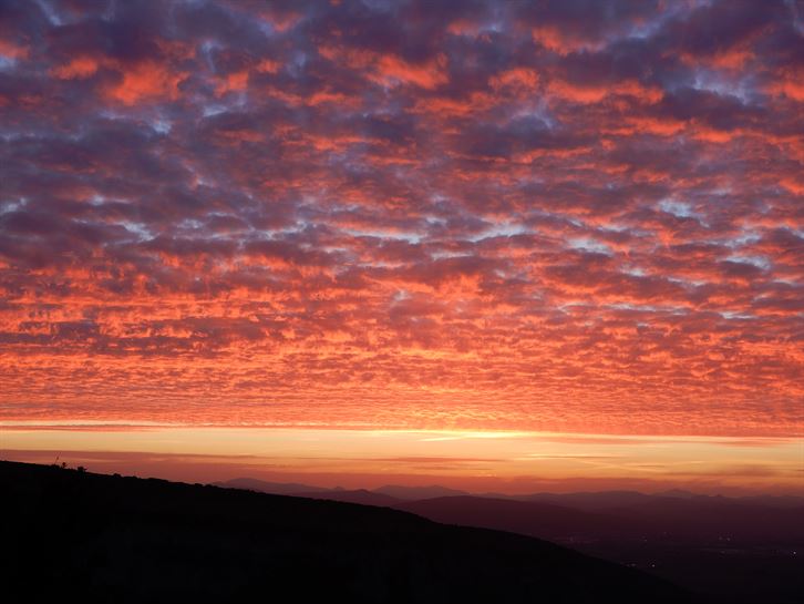 Iruñerria (Luis Azpiroz)