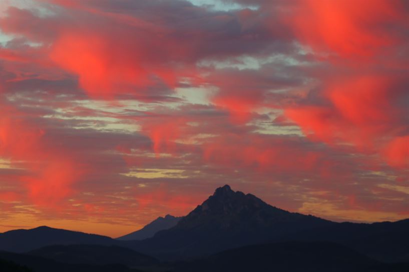 Iurreta (Txaro Ortiz de Zarate)