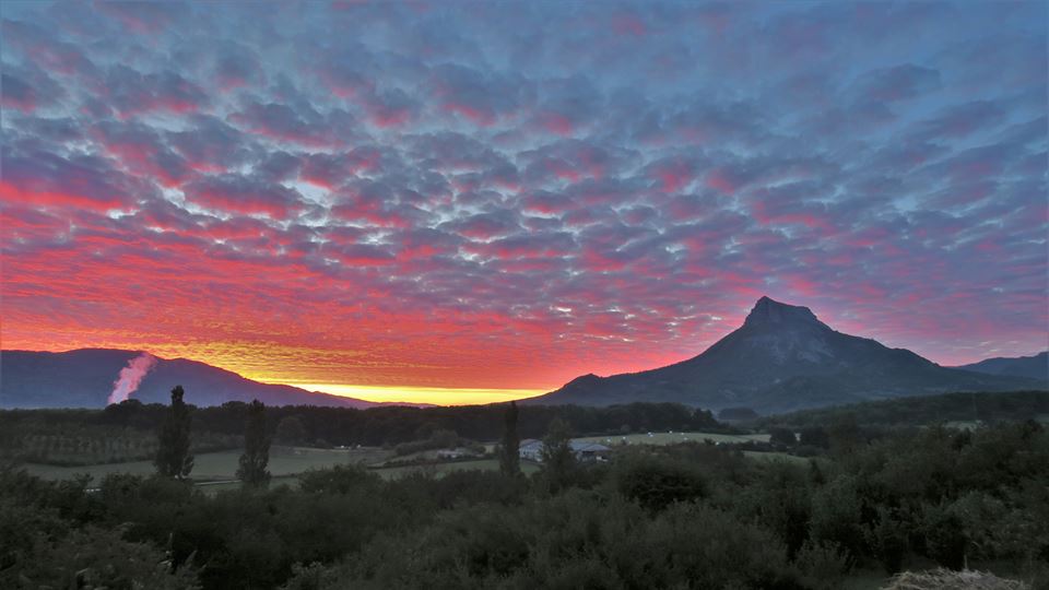 Etxarri Aranatz (Araceli Markotegi)