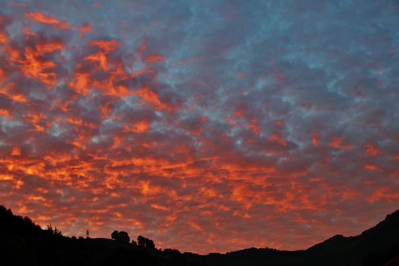 Sunbilla (Josetxo Apezteguia)