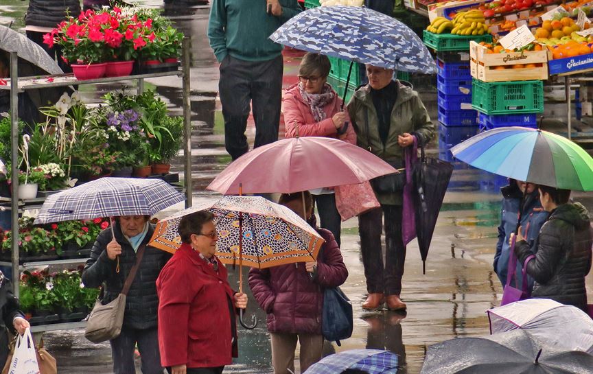 Zornotza (Imanol Aragon)