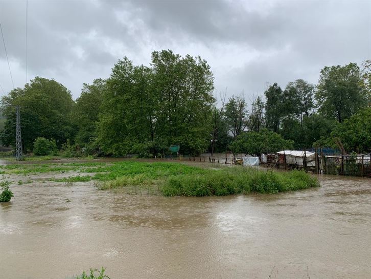 Hernani (Unai Iradi)