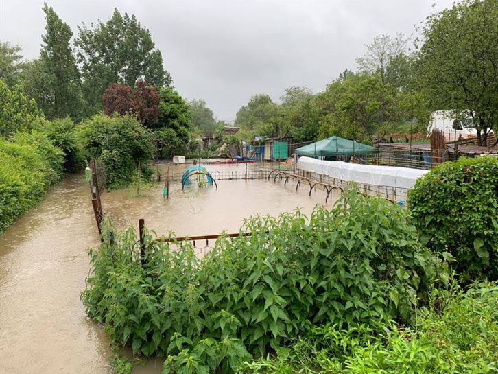 Hernani (Unai Iradi)