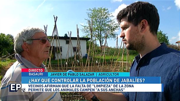 Vecinos de Lapatza, en Basauri, denuncian los destrozos de jabalíes en sus huertas