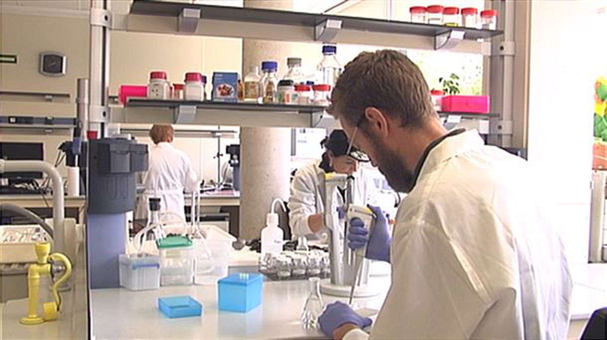 Trabajadores en un laboratorio