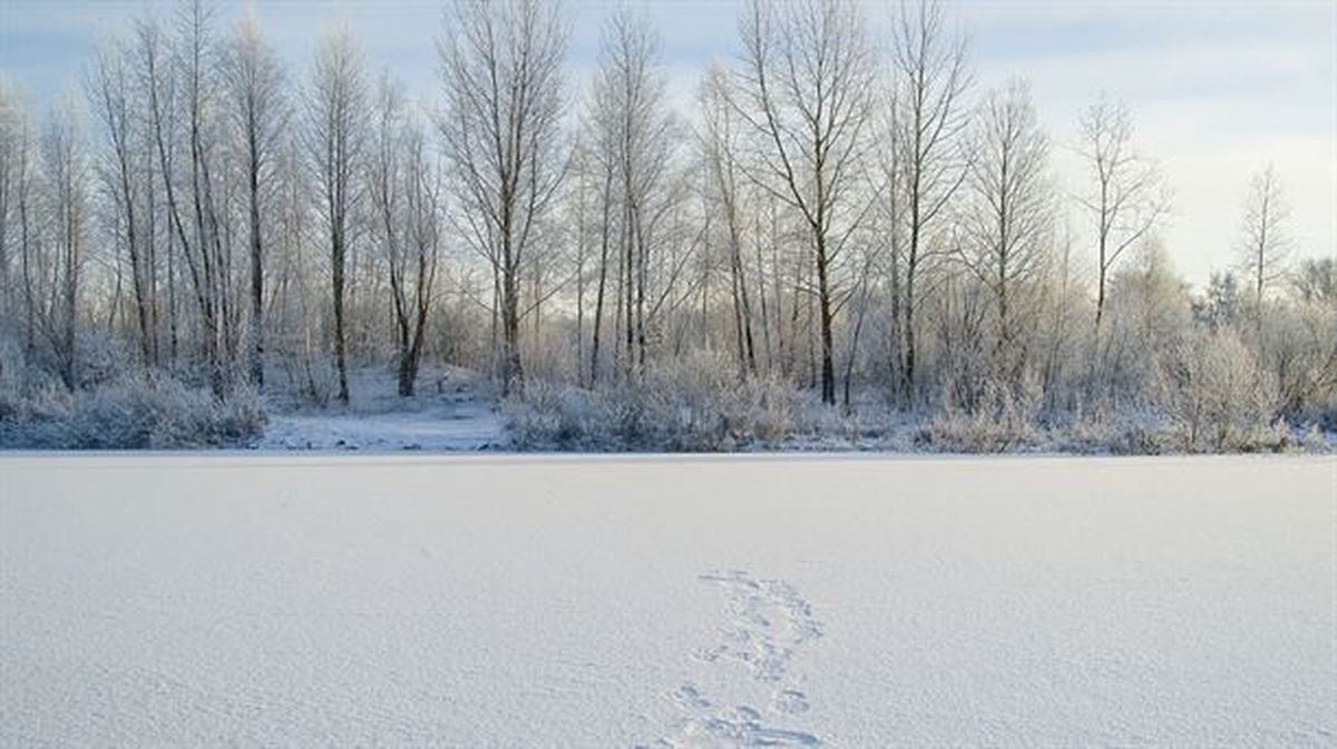 Aintzira bat elurtuta, Siberian