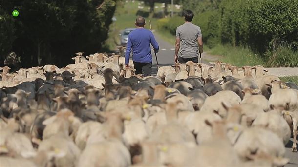 Joseba Arguiñanoren saioa Pagoetako parke naturalera eta inguruetara joango da bisitan. 