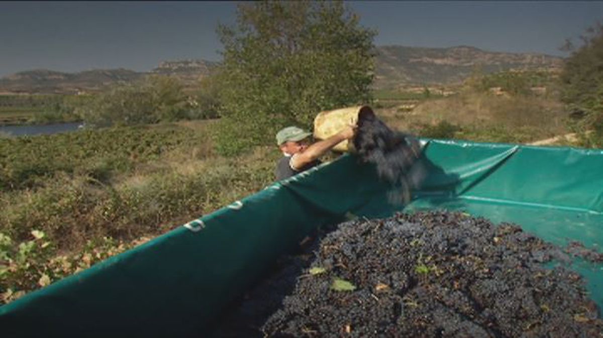 La polémica parece no tener fin en la Rioja Alavesa