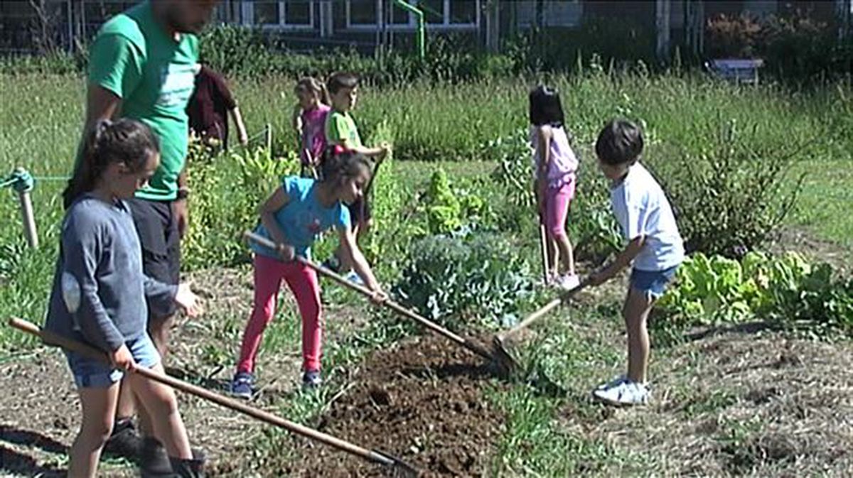 Imagen del huerto escolar del colegio Zubileta de Getxo