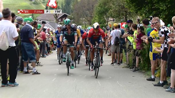 El pelotón afronta una de las etapas de la Vuelta a Suiza.