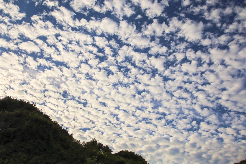 Bermeo (Unai Urresti)