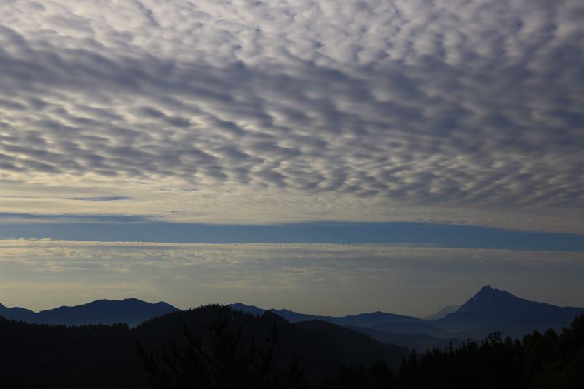Iurreta (Txaro Ortiz de Zarate)