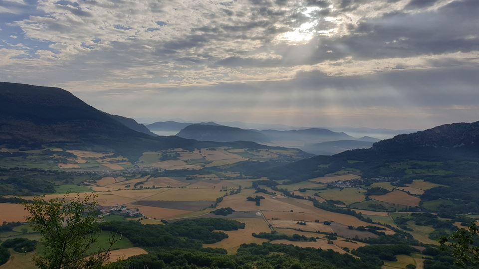 Ollo (Jose Luis Azpiroz)