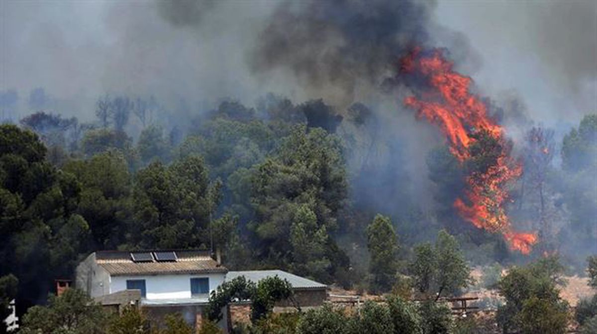 El incendio ya ha calcinado 6.500 hectáreas